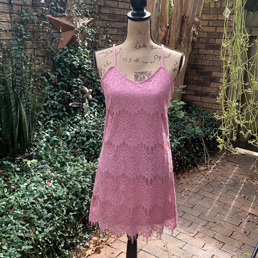 New Pink Mini Lace Dress, Medium